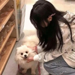 开云·体育(KYSports)